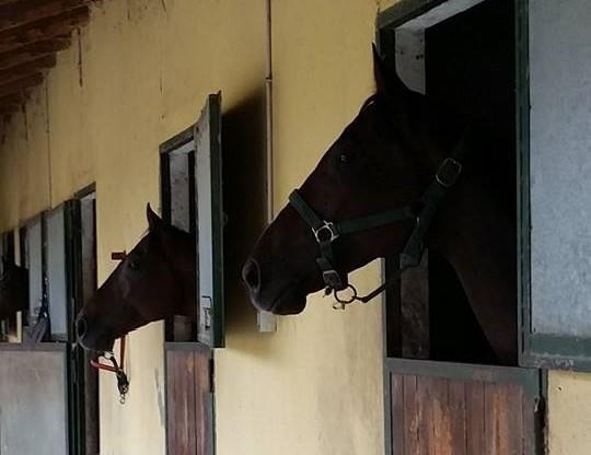 アスティ La Cascina Del Castelloヴィラ エクステリア 写真